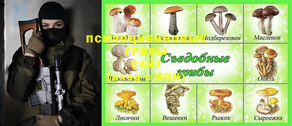 PSILOCYBIN Белокуриха